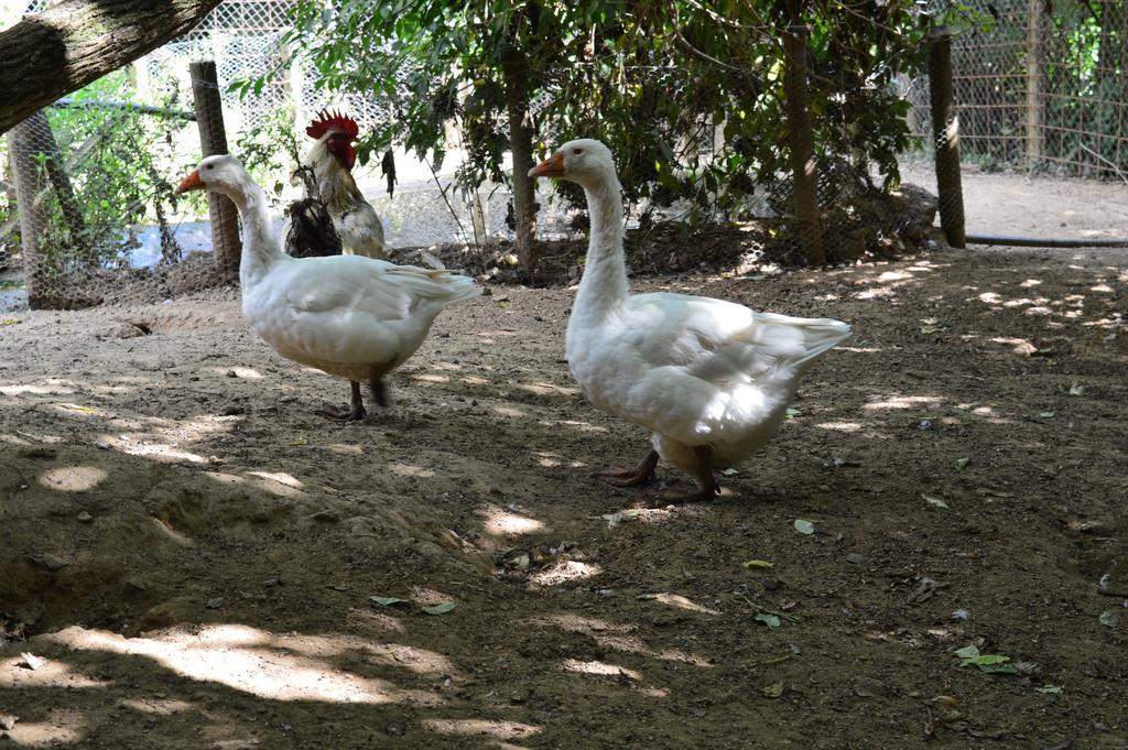 Agriturismo E Turre
