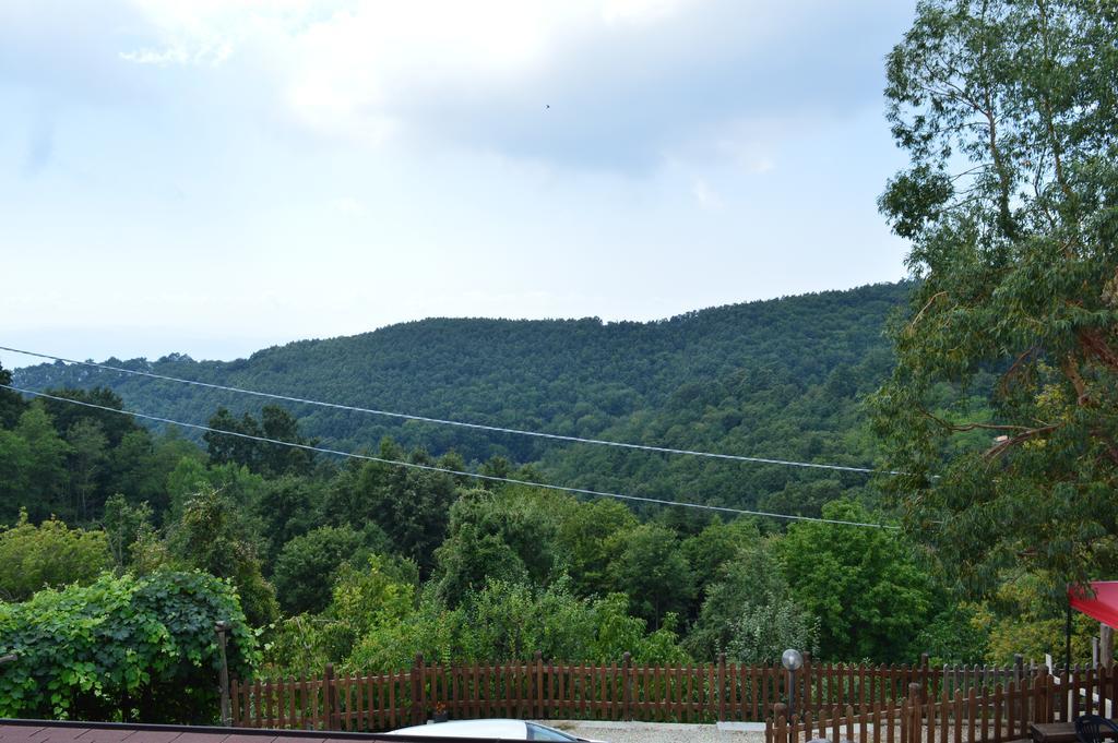 Agriturismo E Turre